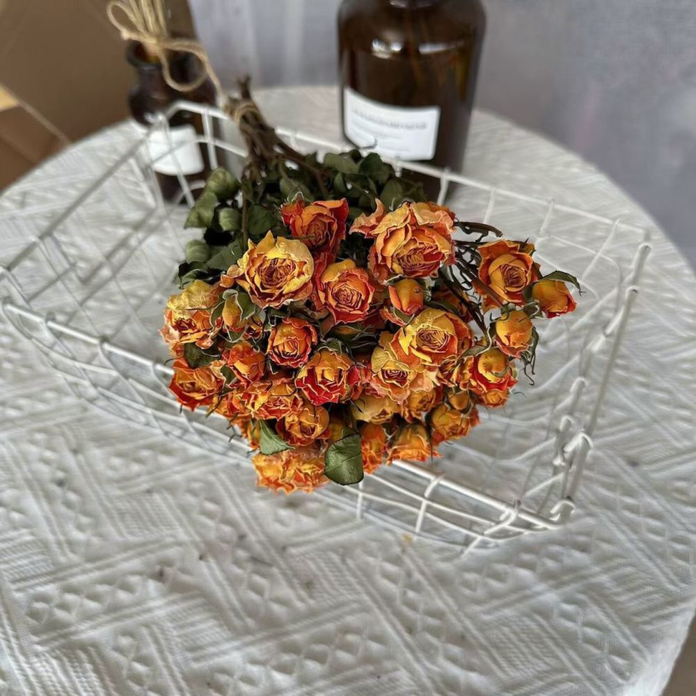 Gerçek, Kurutulmuş ve Korunmuş - Resin Craft Ideas incelemesi ve fiyatı