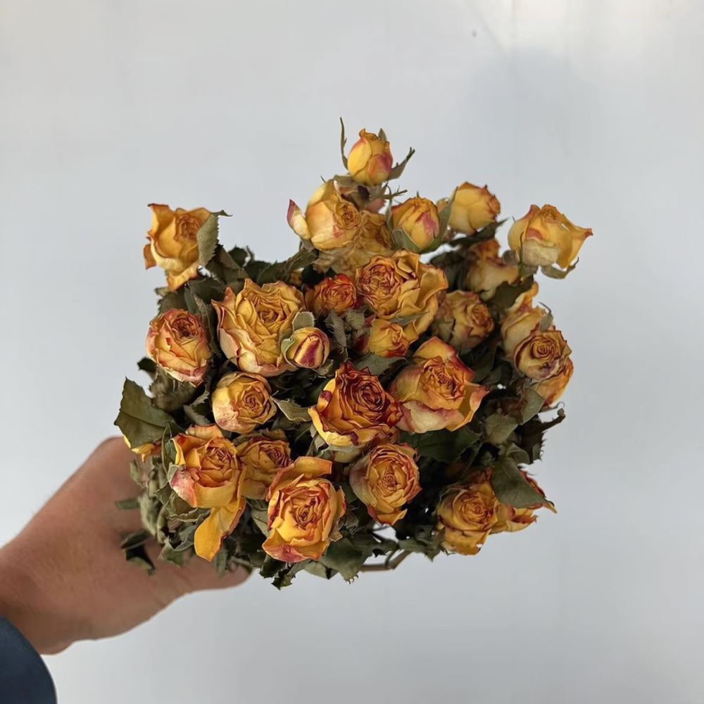 Gerçek, Kurutulmuş ve Korunmuş - Resin Craft Ideas incelemesi ve fiyatı